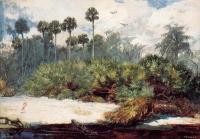 Homer, Winslow - In a Florida Jungle